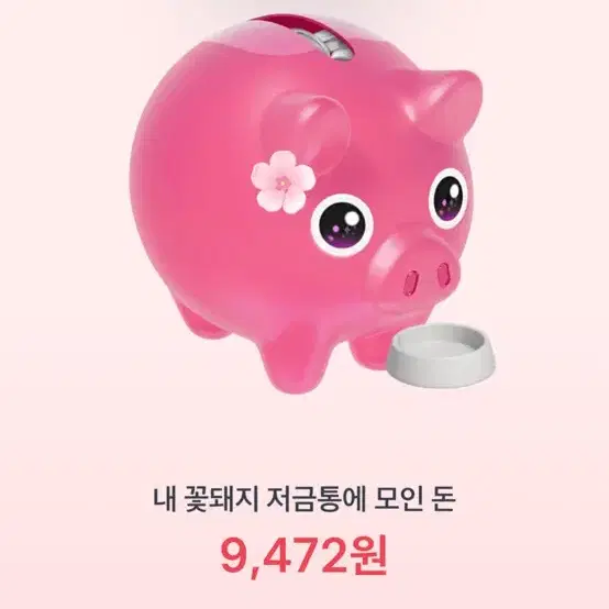 꽃돼지 저금통