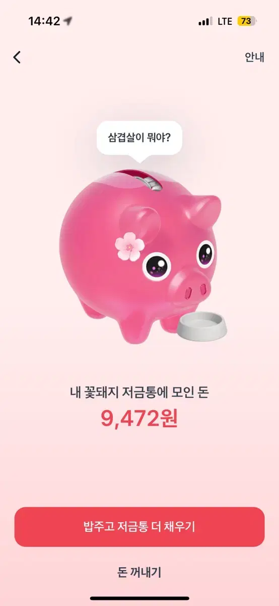 토스 저금통 꽃돼지