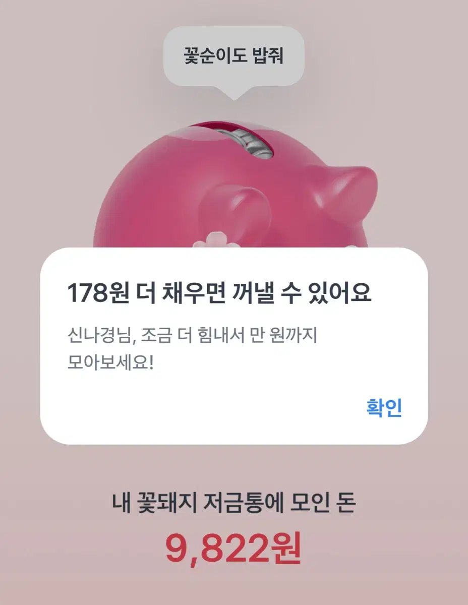 토스 꽃순이 꽃돼지