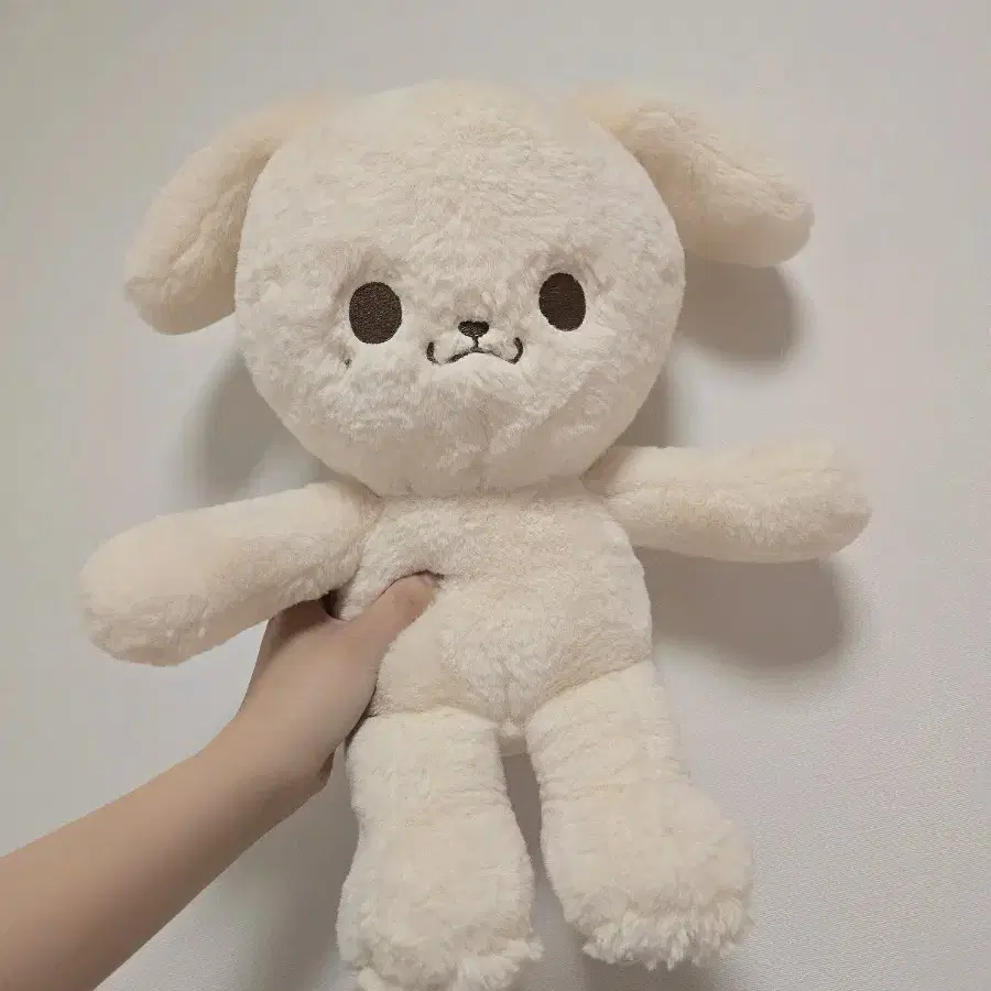 왕쩬이 제노 40cm 인형 판매