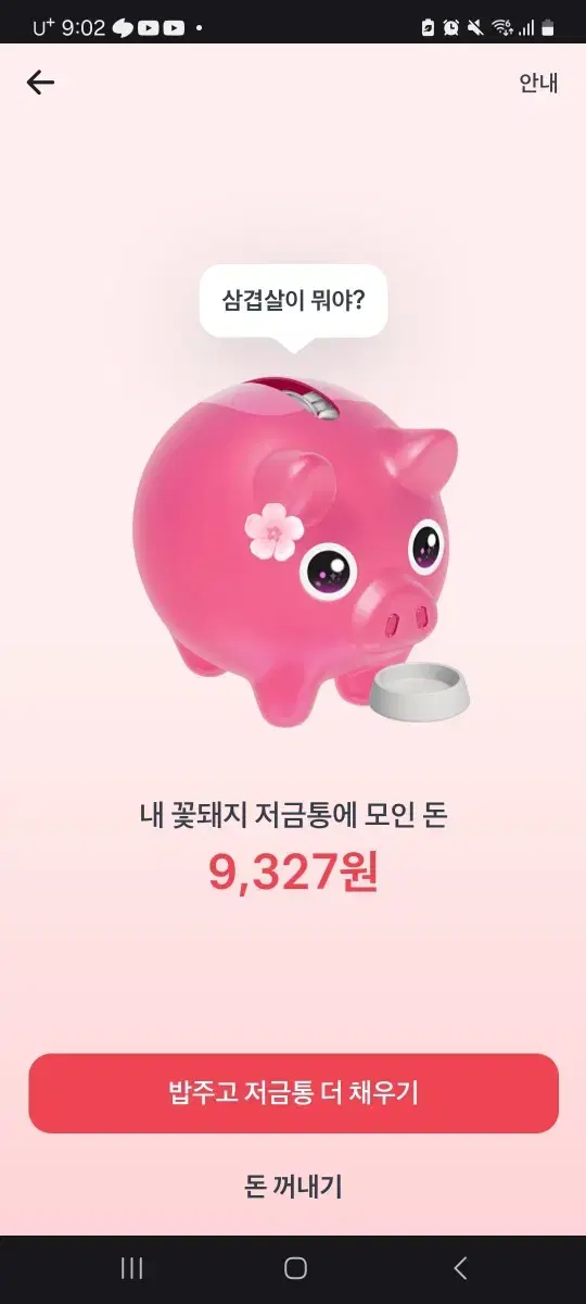 토스 꽃돼지