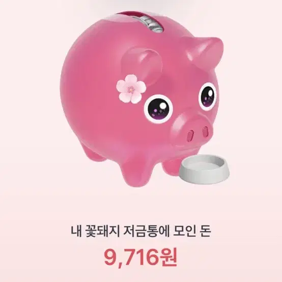 토스 꽃돼지 500원