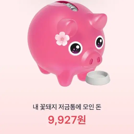 꽃돼지 밥주기 해주시면 500원 드려요! (선착 5분)