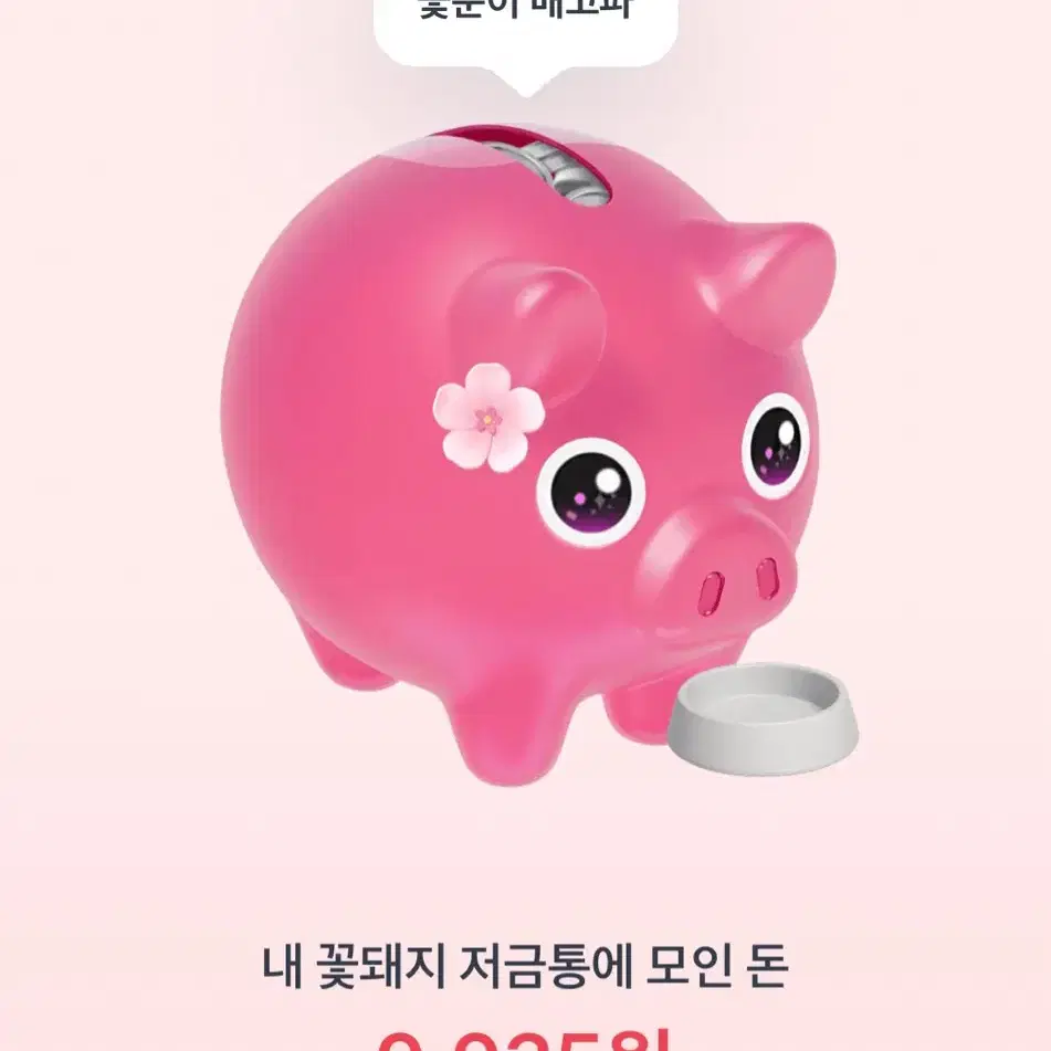 꽃돼지 1000원 바로 입금해드려요