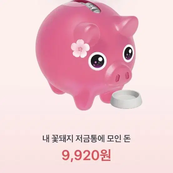 토스 꽃돼지 도와주세요ㅜㅜㅜ