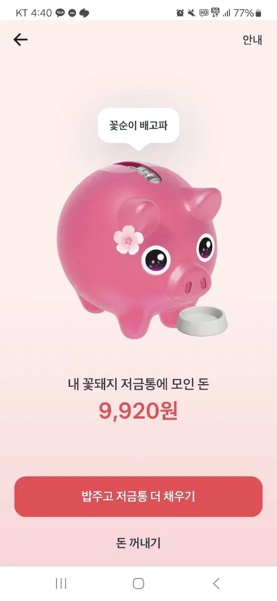 토스 꽃돼지 도와주세요ㅜㅜㅜ