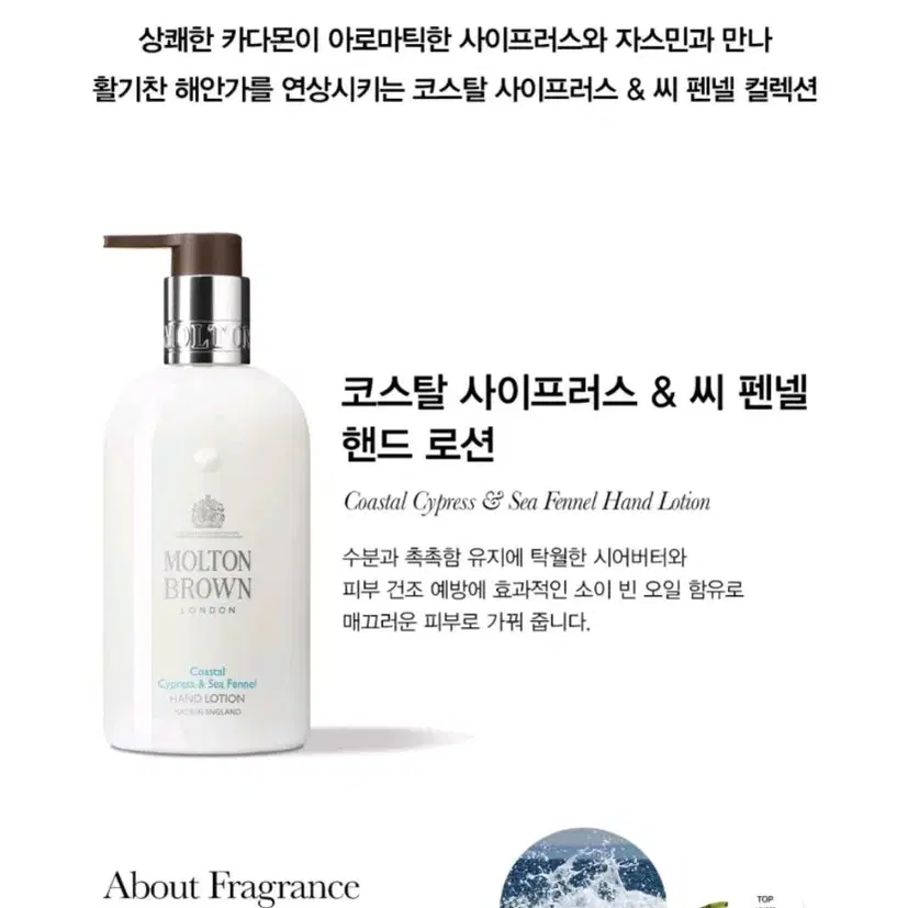 몰튼브라운 핸드로션 코스탈 사이프러스 & 씨펜넬 Molton brown