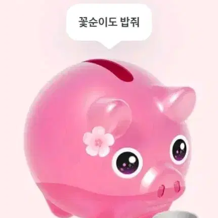 토스 꽃돼지