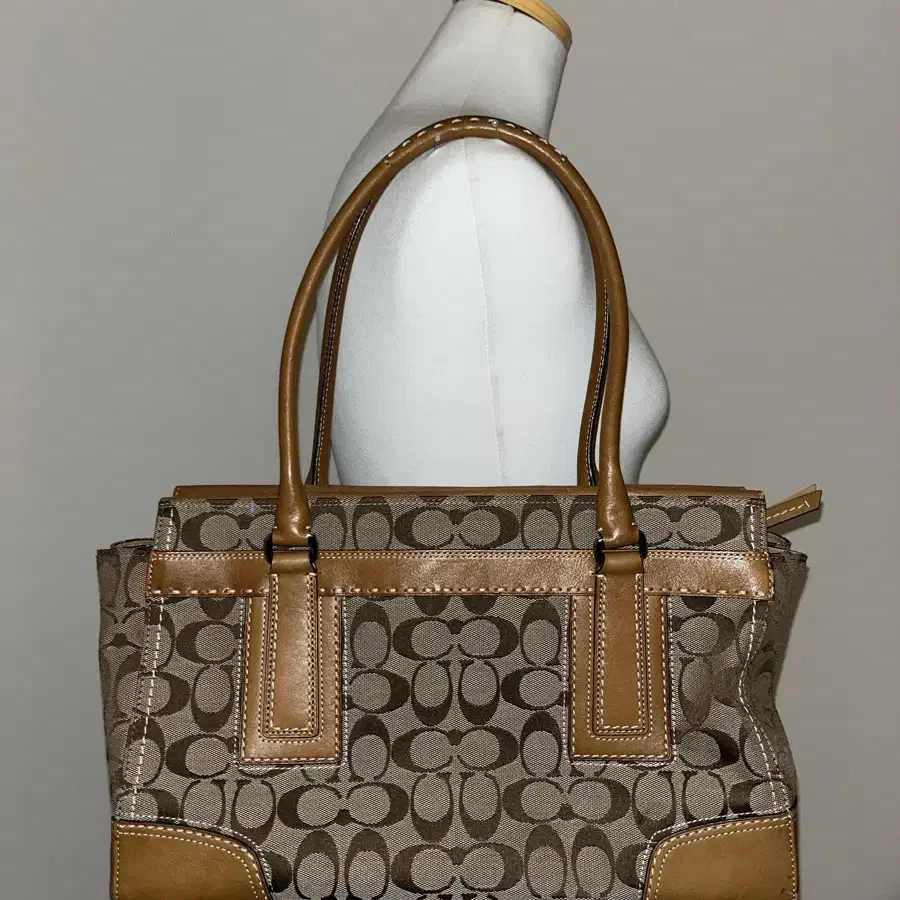 Coach Basic Square Bag