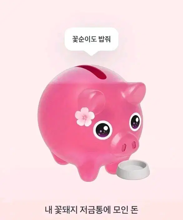 토스 꽃돼지