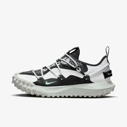 Nike ACG Mountain Fly Low SE DO9334-100