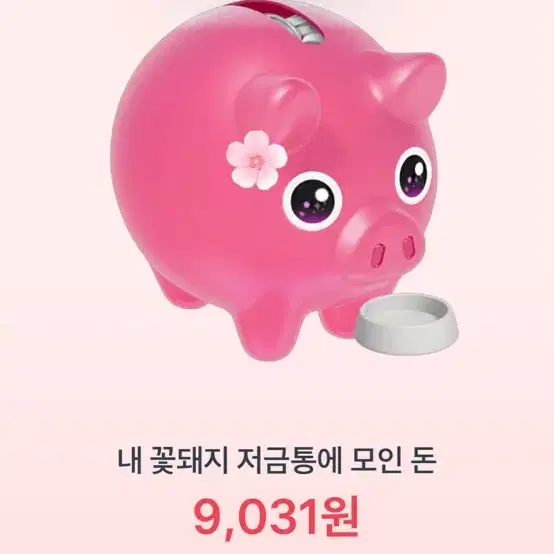 토스 꽃돼지 800원 드려요