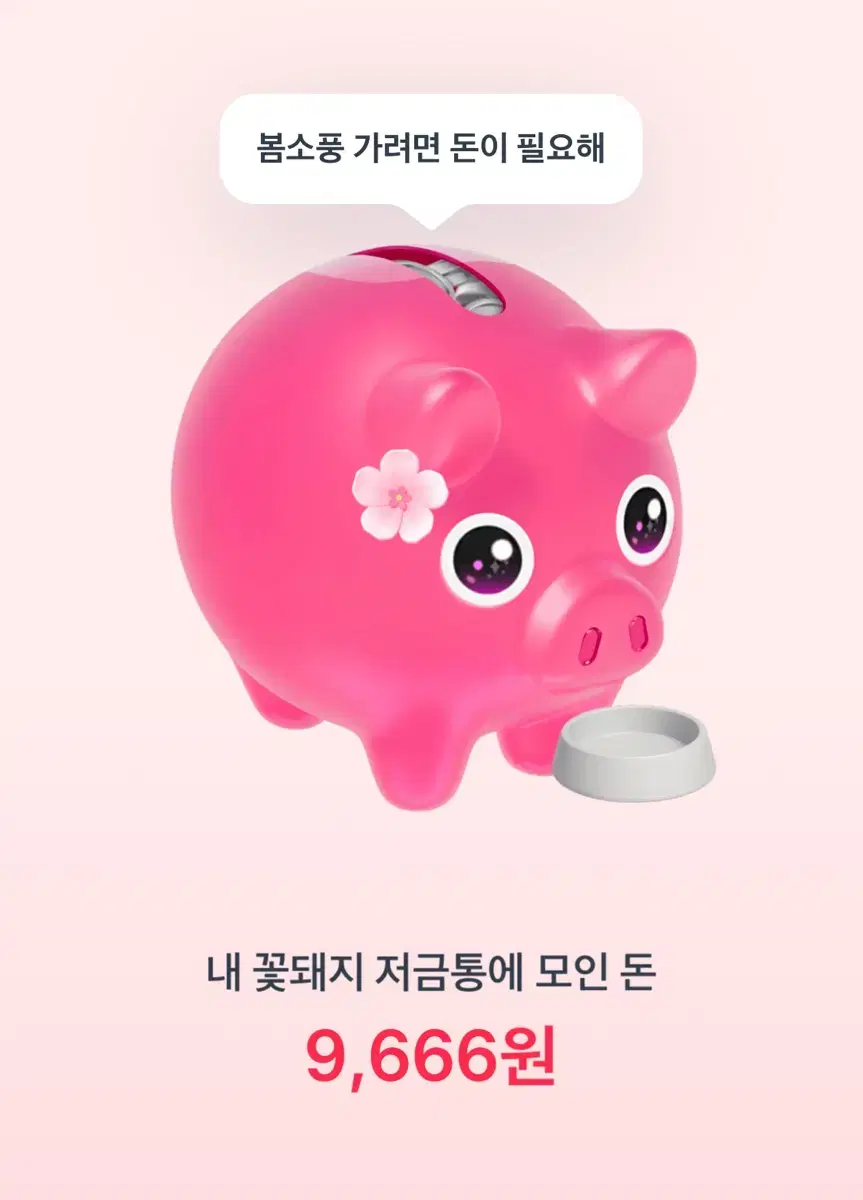 토스 꽃돼지 해주세요 ㅜㅜ