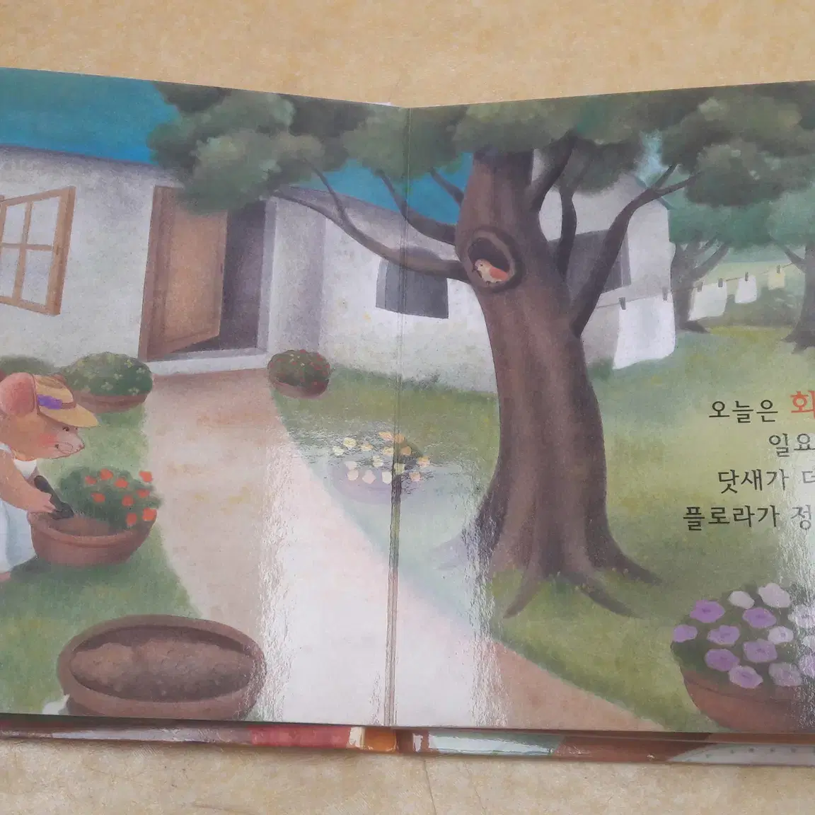 베이비 픽처북+Little Baby Picture Books (보드북)