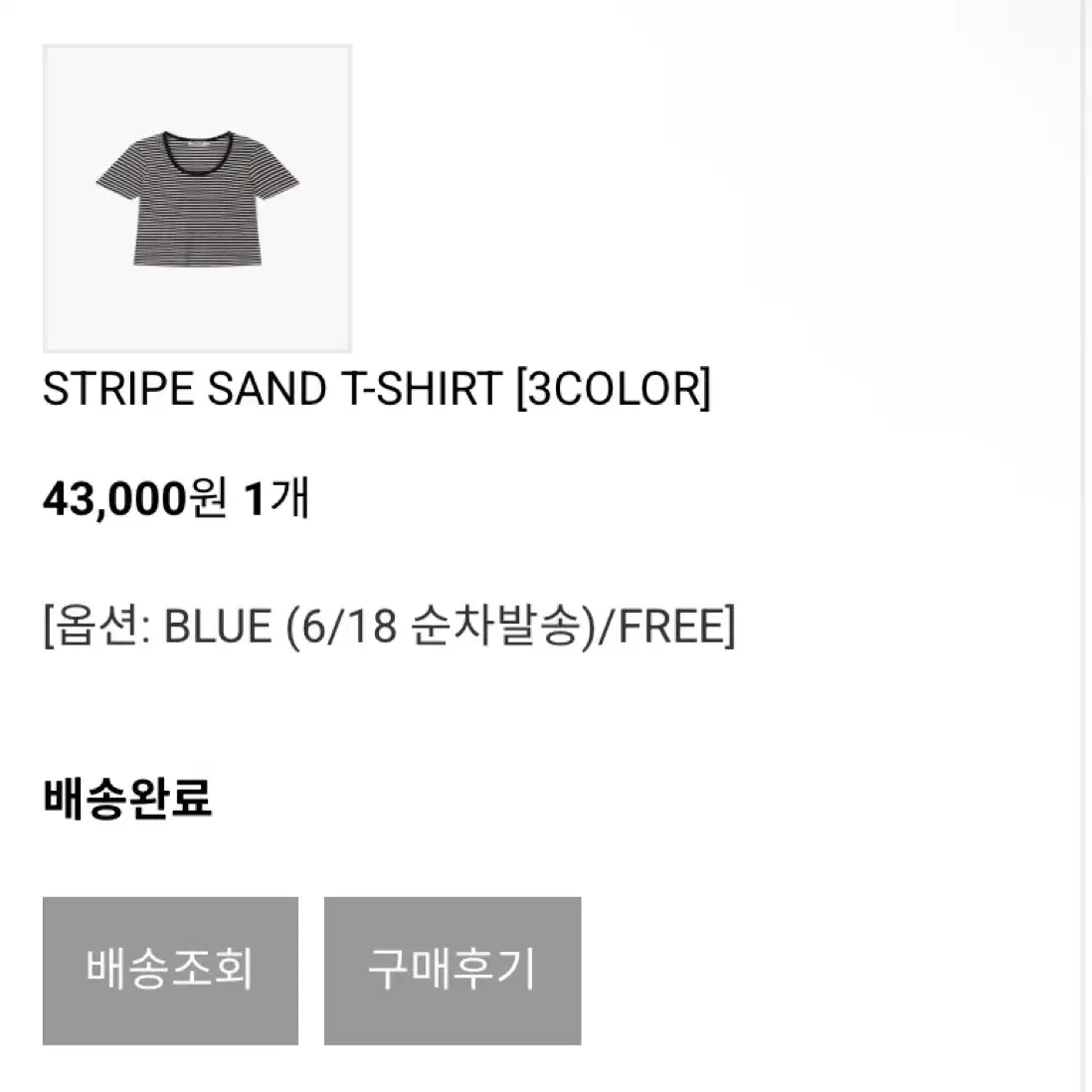 그로브 Stripe Sand 티셔츠 [Blue] 판매