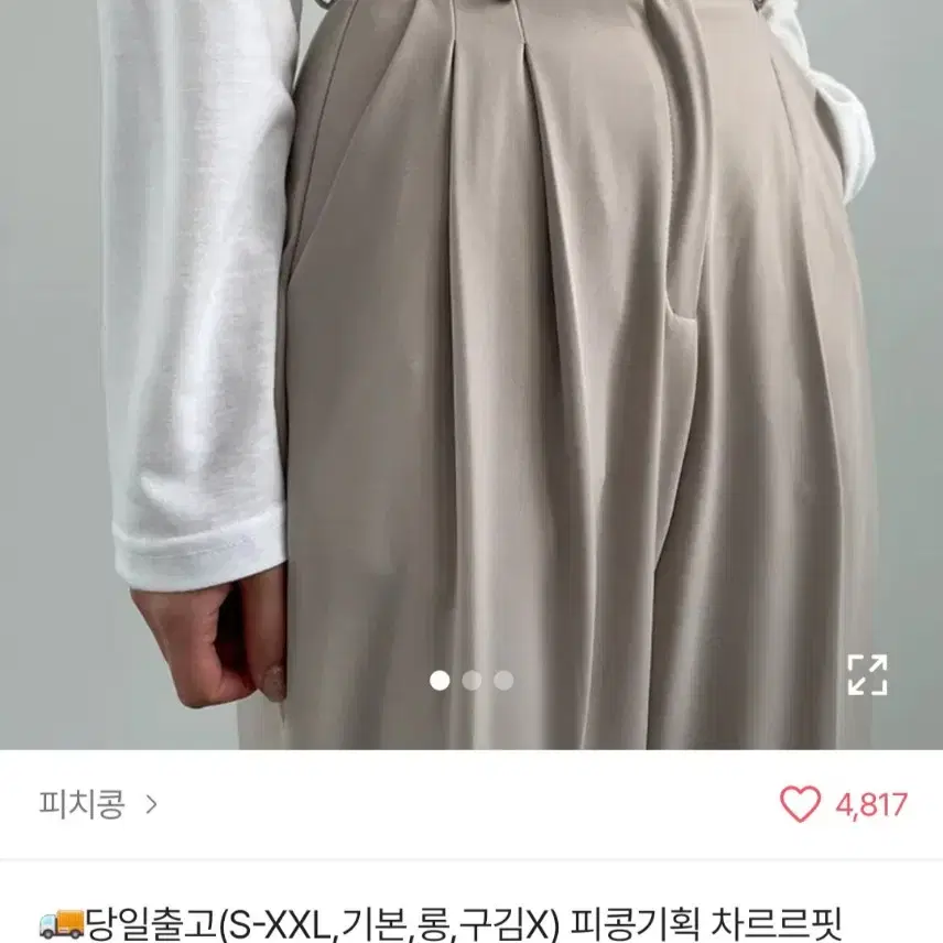 투핀턱 뒷밴딩 와이드 슬랙스 에이블리