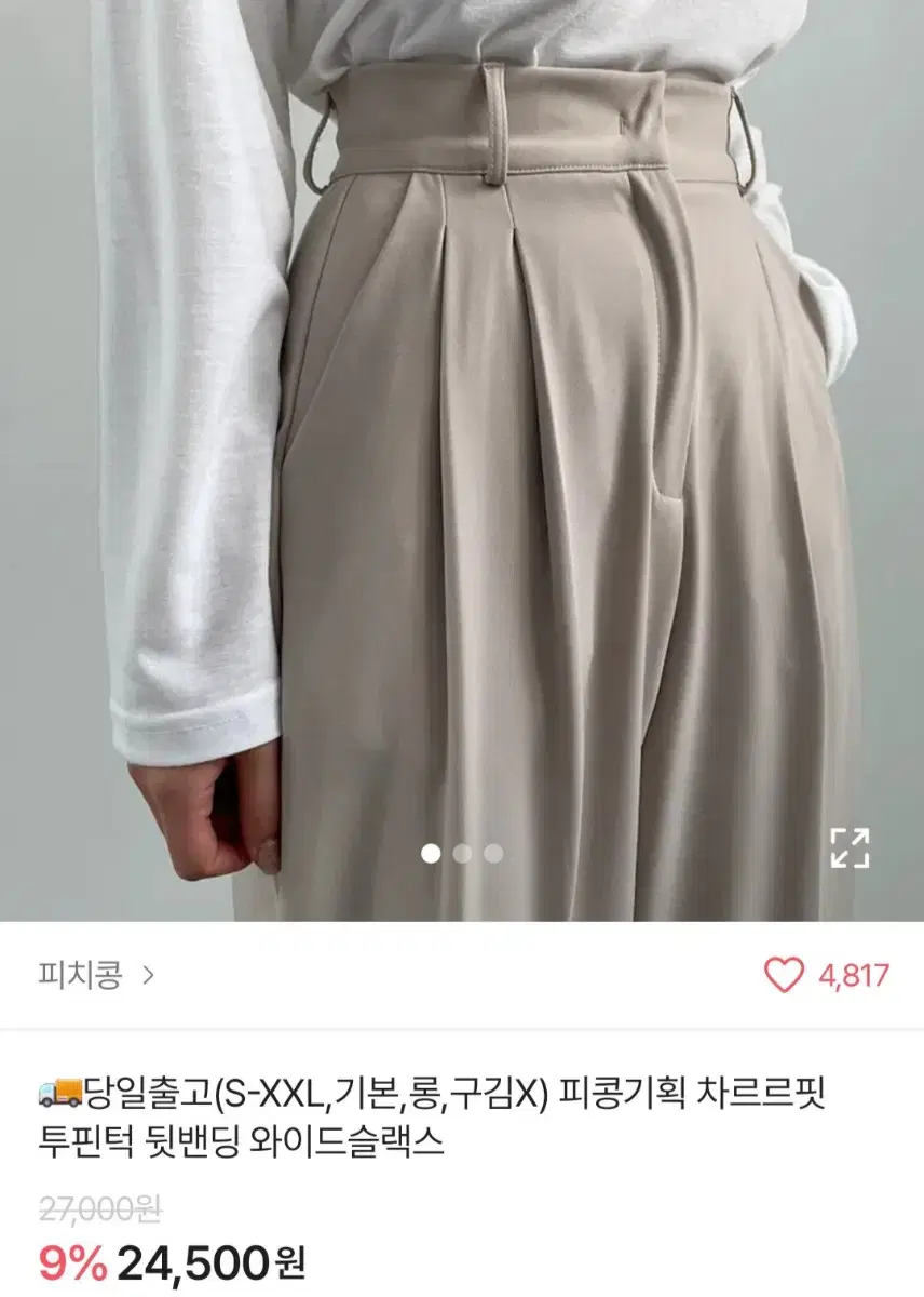 투핀턱 뒷밴딩 와이드 슬랙스 에이블리