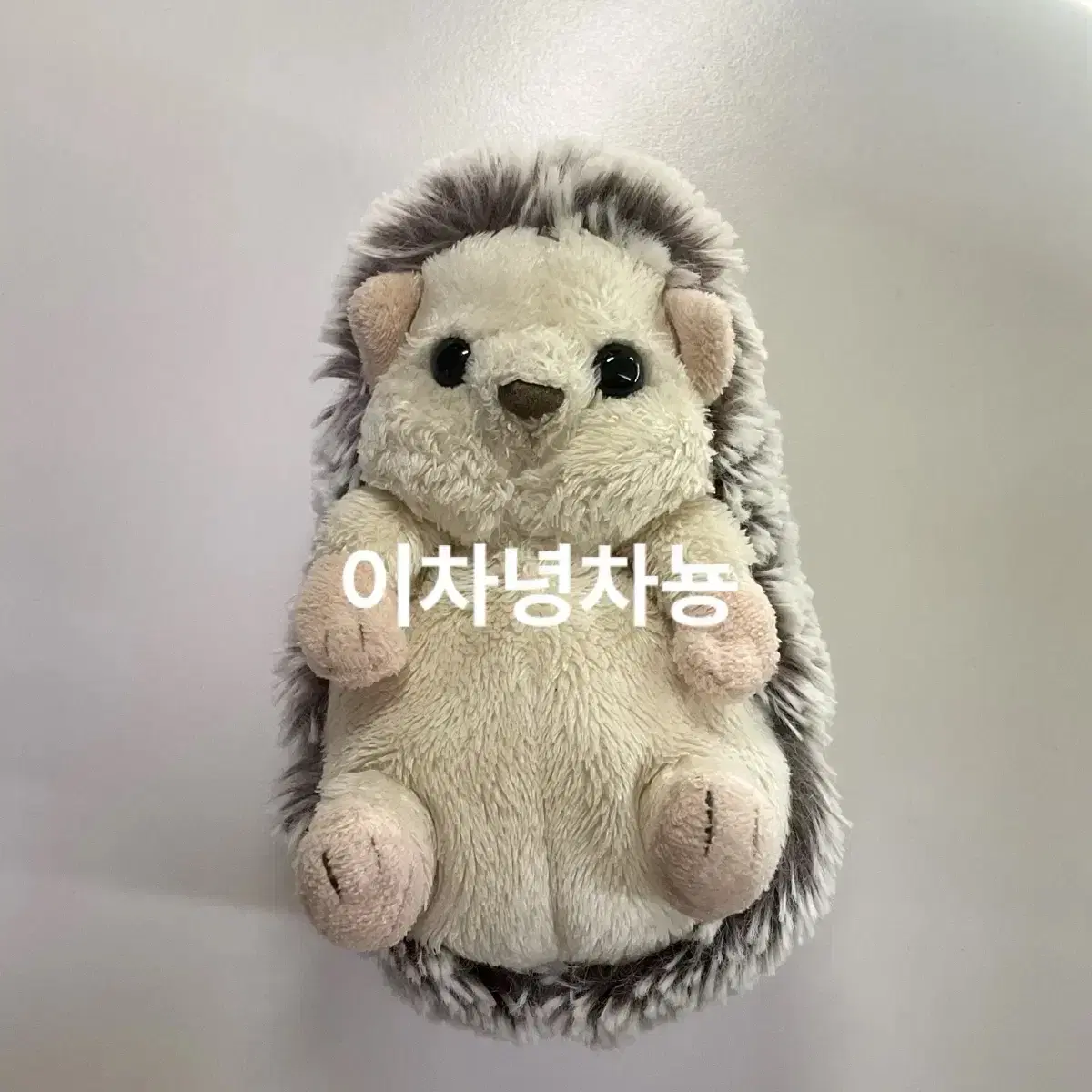 선레몬 정품) 엔시티 도영 도치 인형