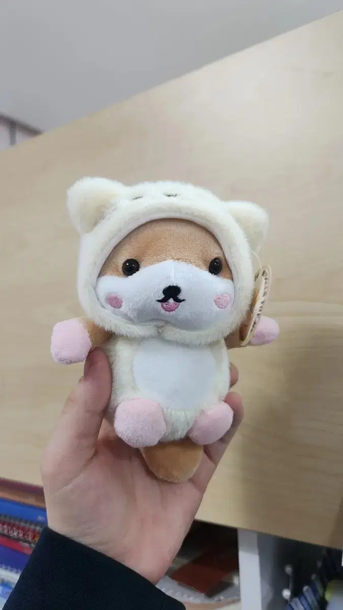 고양이 옷을 입은 강아지 키링