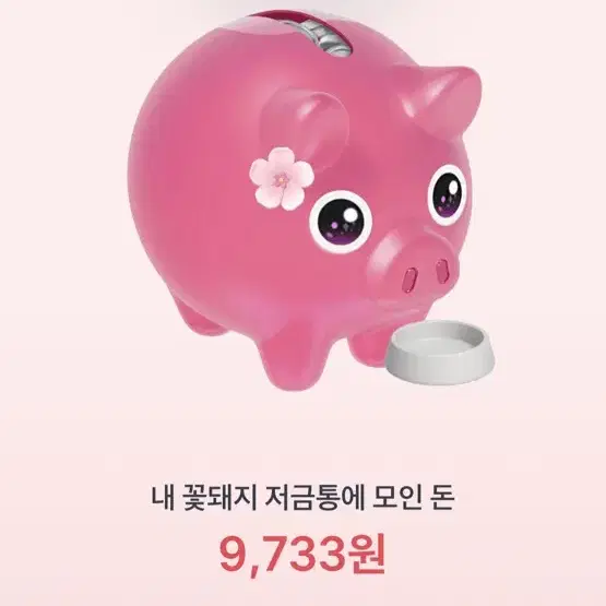 토스 꽃돼지 해주면 기프티콘