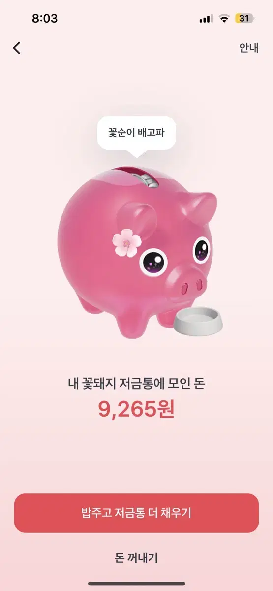 토스 꽃돼지 500원 드려요