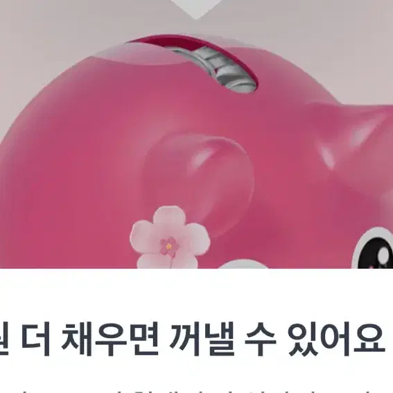 토스꽃돼지