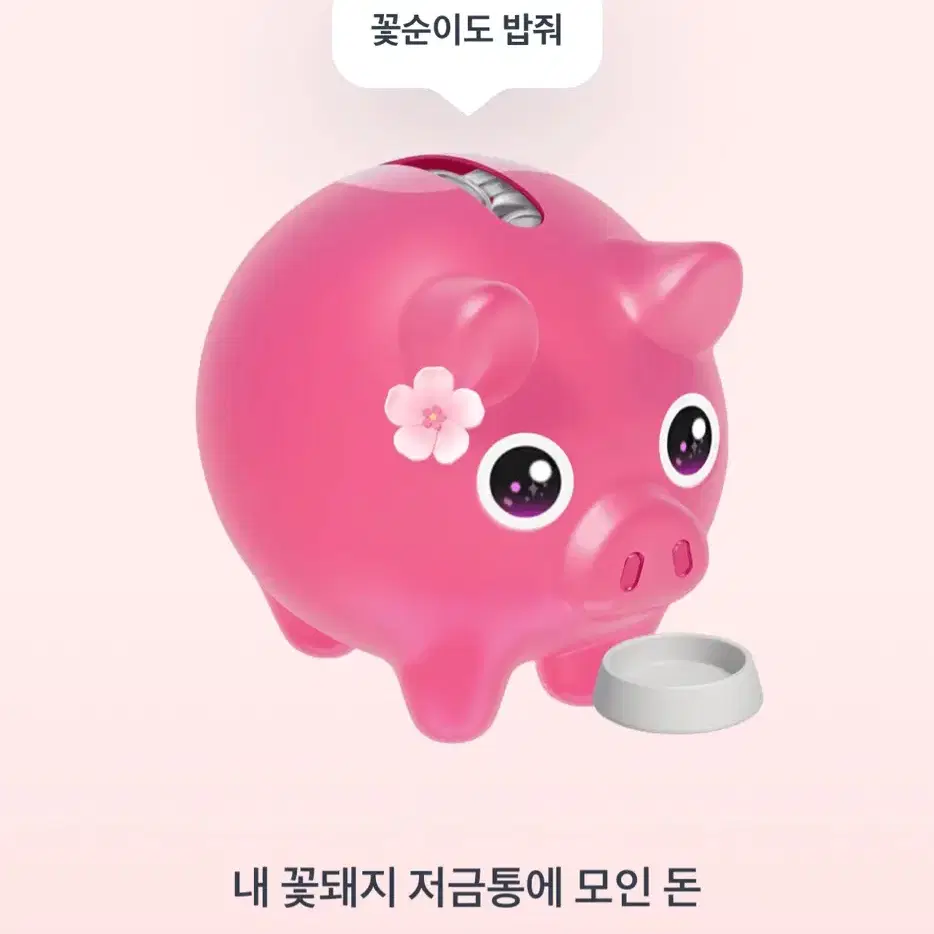 토스 꽃돼지