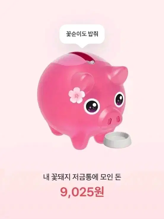 토스 꽃순이 꽃돼지 저금통 300원