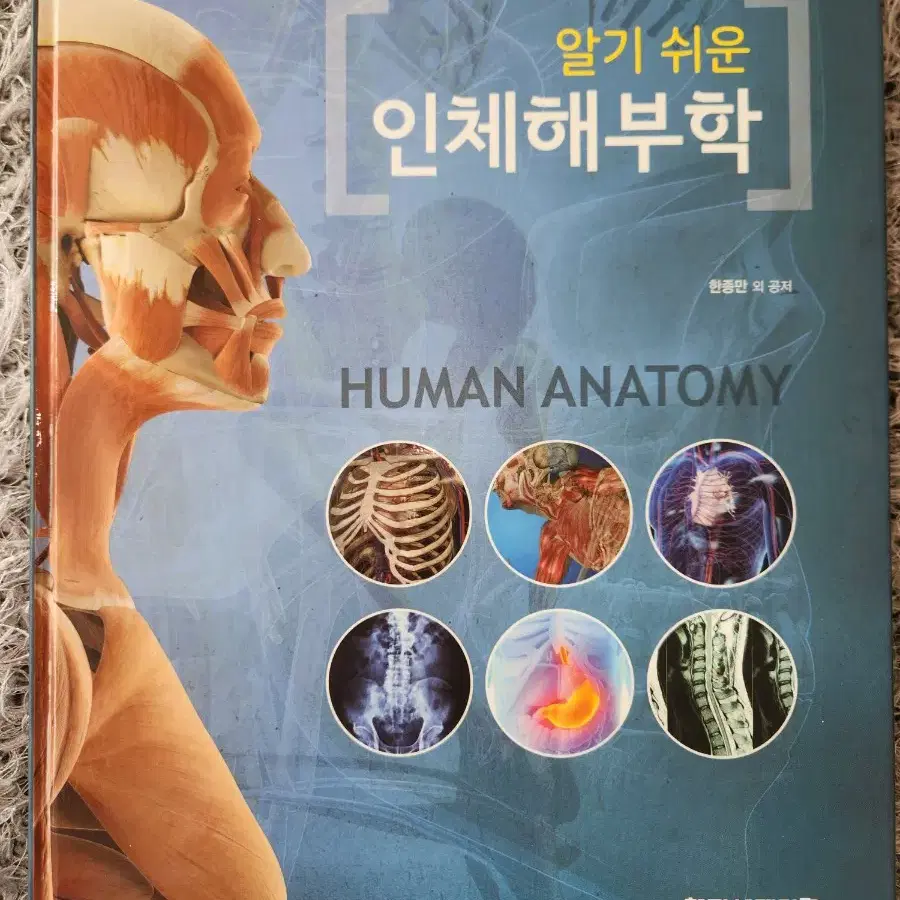 간호학과 전공책 전공서적 여러 권 판매합니다