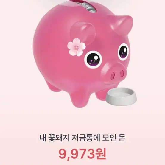 토스 꽃돼지