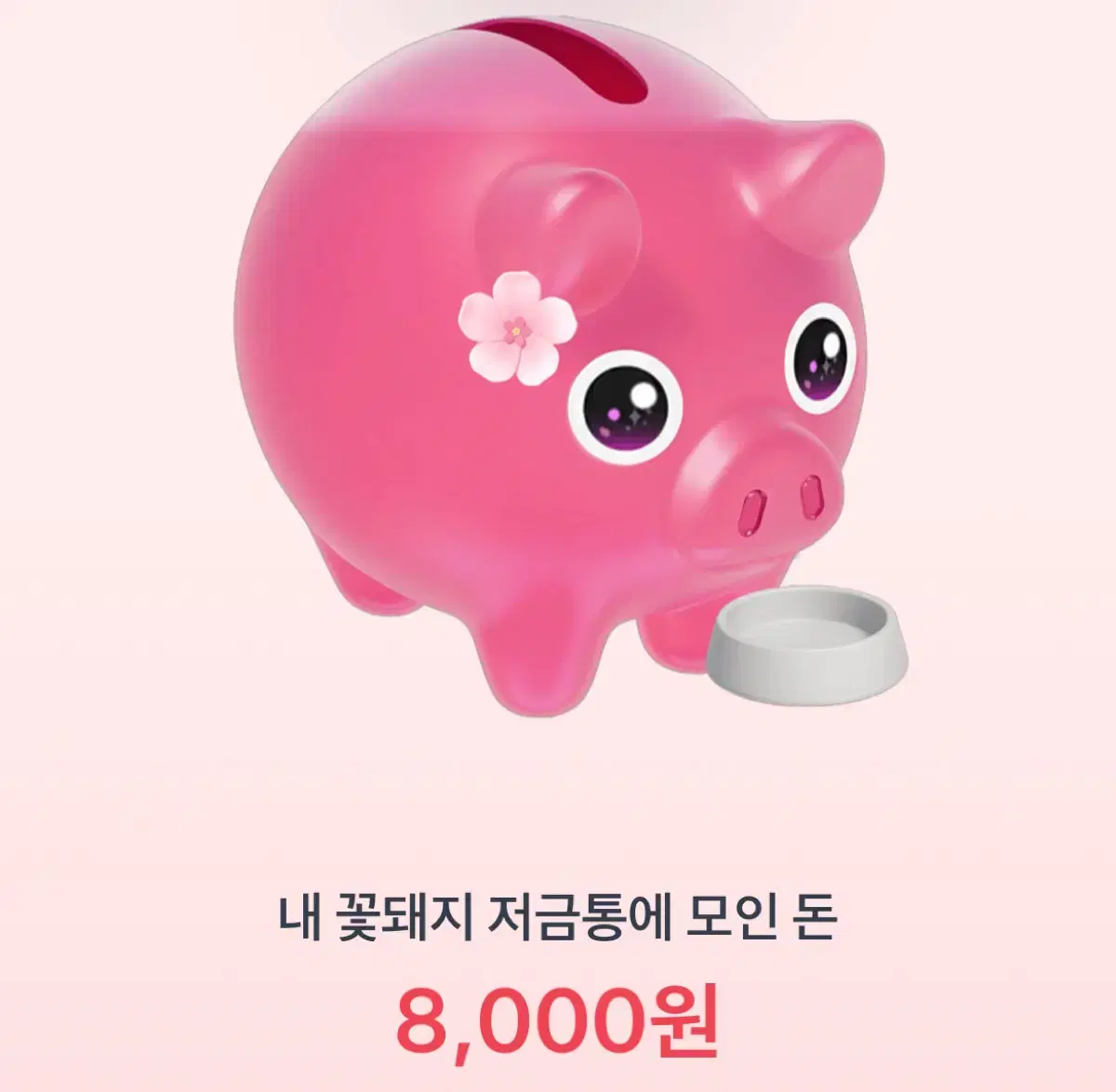 토스꽃돼지 깊티드려여