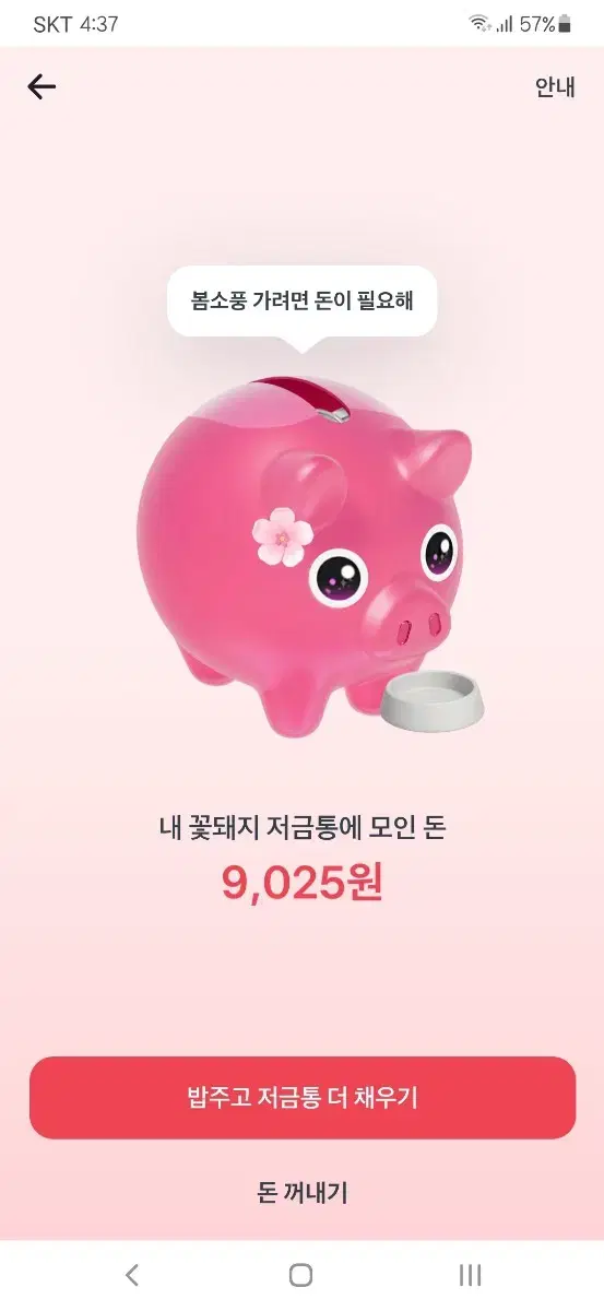 토스 꽃순이 꽃돼지 저금통 300원