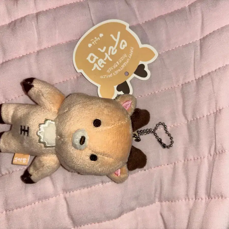 wts riize doll riize 10cm doll, To냥덕 ddolbyung Lizco | Bunjang