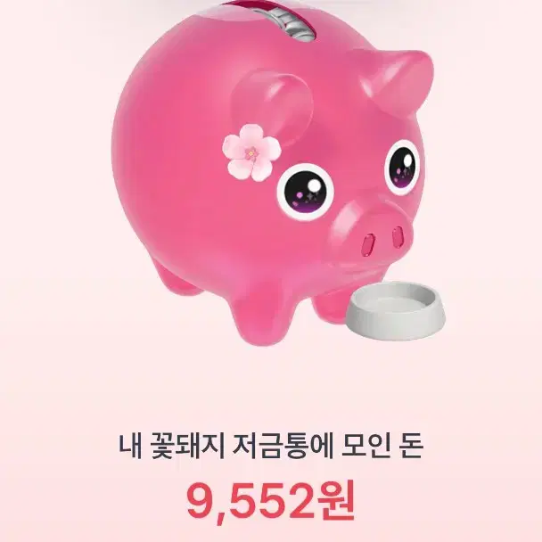 토스 꽃돼지