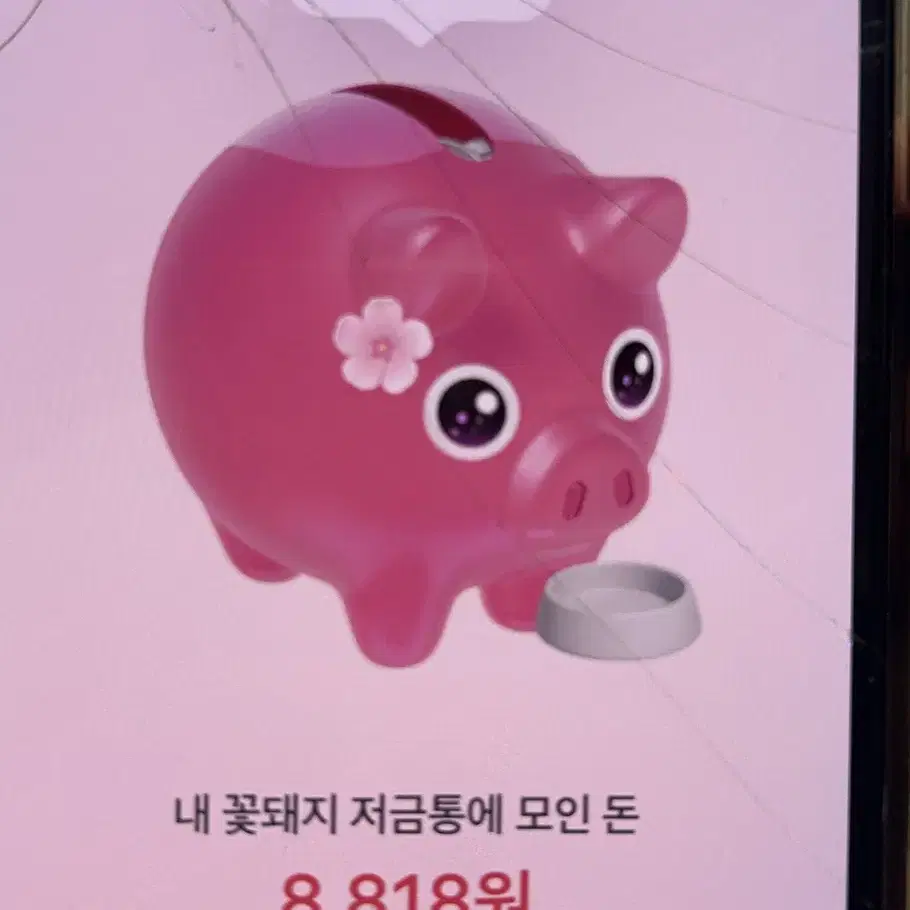 친구 꽃돼지 살려주실 분 구해요 ..