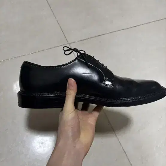 알든 ALDEN 9901 9D 코도반 더비