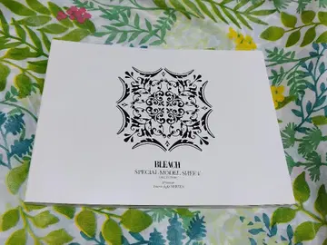 그리무조 네이비 나염 소우스케 소책자 블리치 설정 자료 이즈루 키라