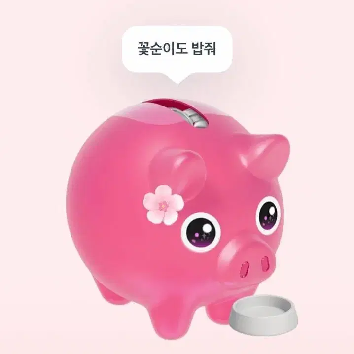 토스 꽃돼지 누르신 금액 드려요