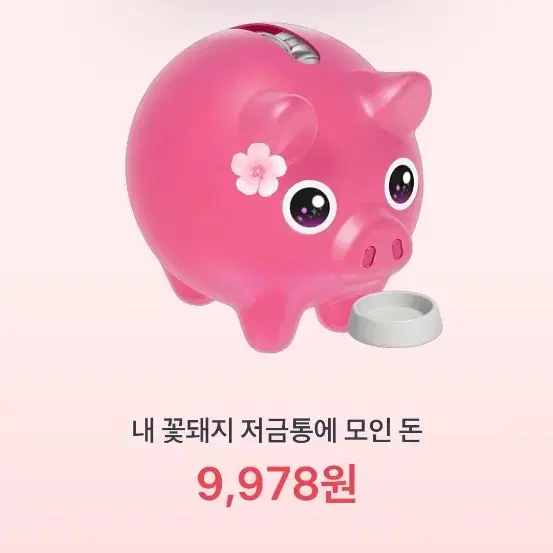 토스 꽃돼지