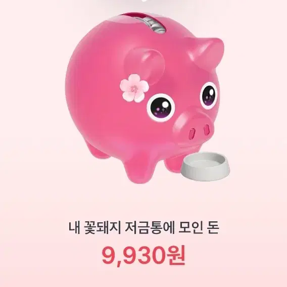 토스 꽃돼지 한번만요!