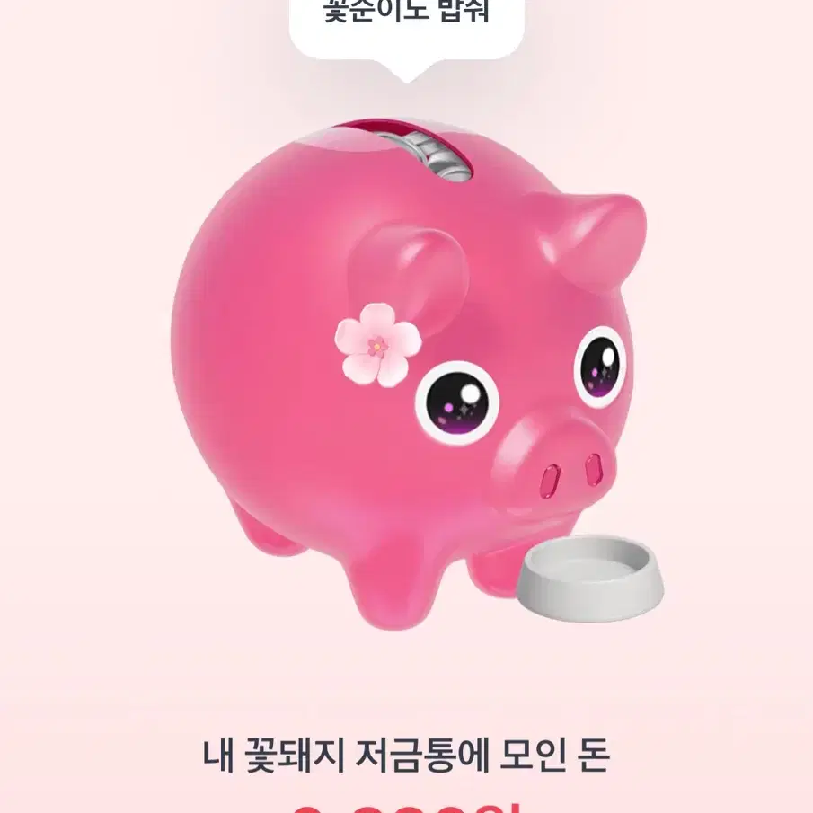 토스 꽃돼지 밥 주기 인증해주시면 500원 드려요