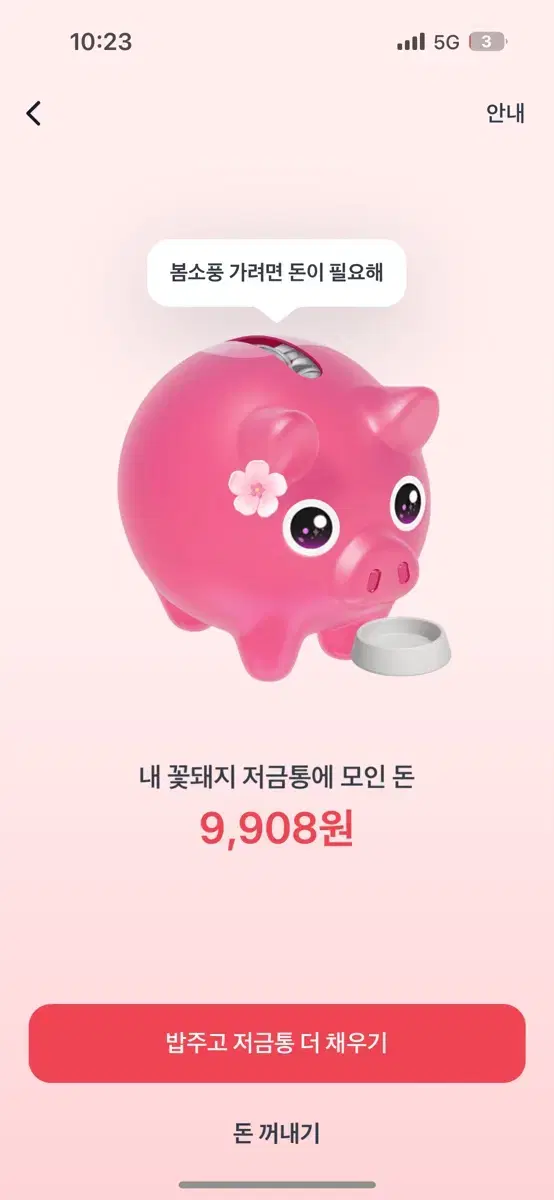 꽃돼지 토스