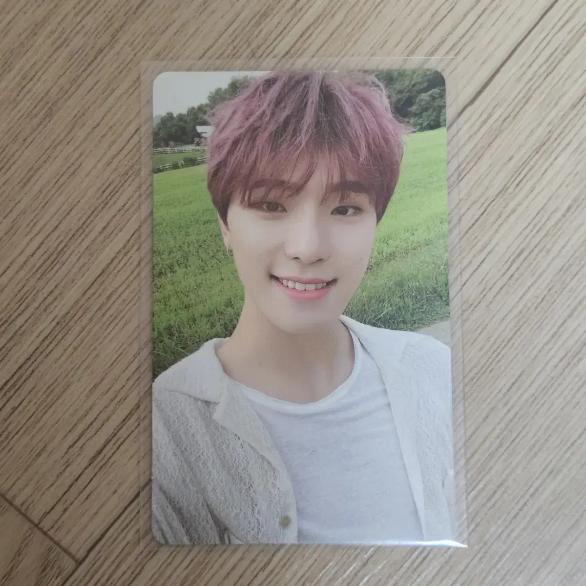 세븐틴 디노 소셜클럽 다카포