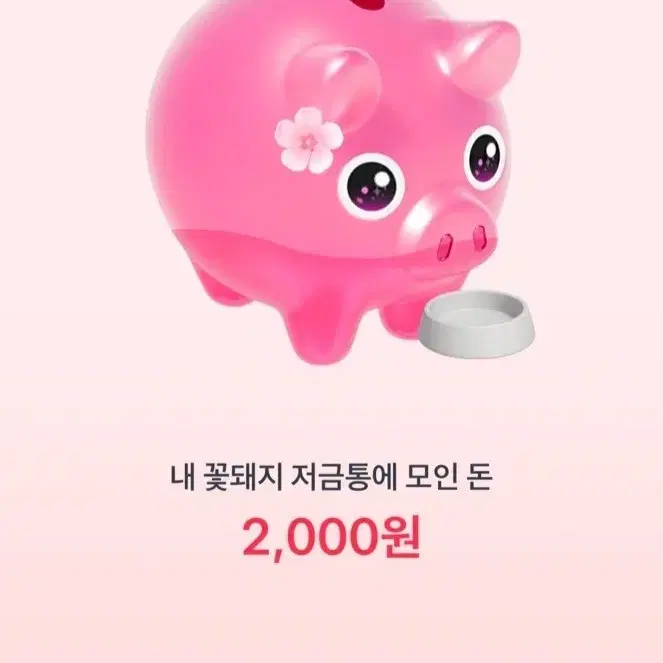 꽃돼지 20배로 드려요