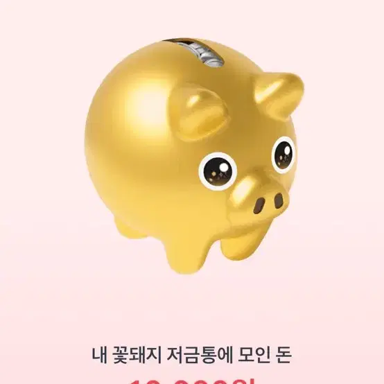 꽃돼지 토스