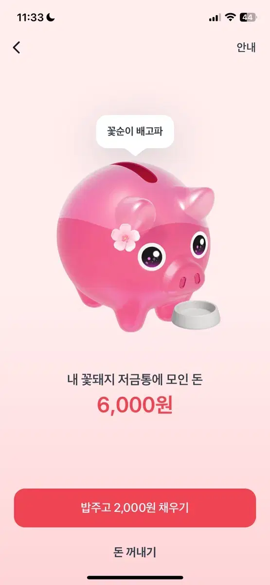 토스 꽃돼지 눌러주시면 돈 드려요