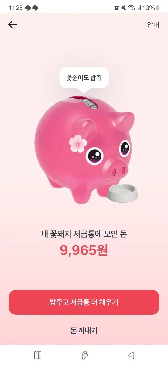 토스 꽃돼지 함께해요!