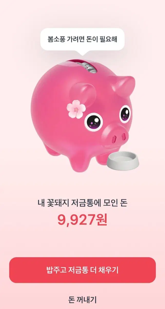 200원드려요ㅠ 꽃돼지 밥좀주세요