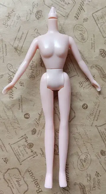 타카라토미*에코네코 너무 좋아 리카짱 바디만