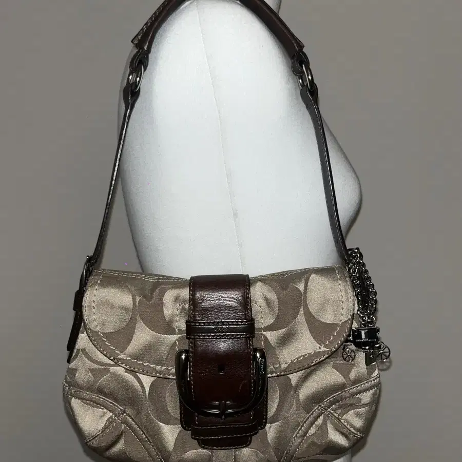 Coach Basic Shoulder Bag